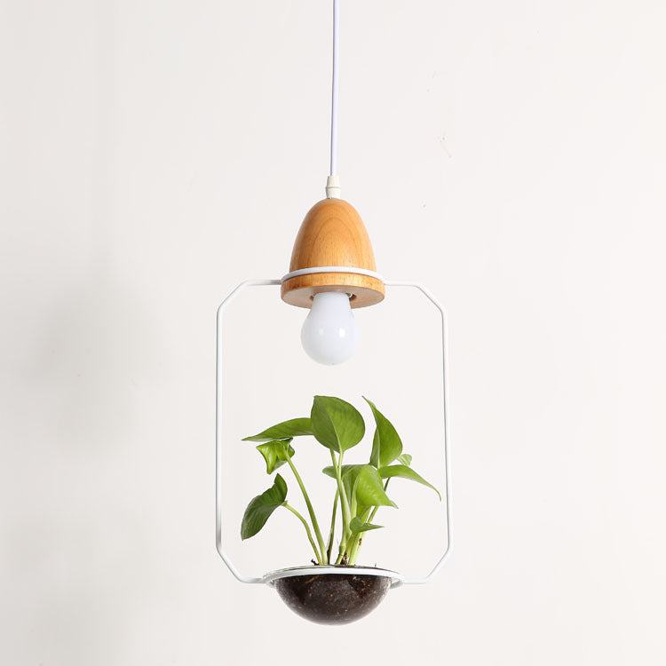 Lampadario Vegetale - Eleganza Naturale per Spazi Rurali