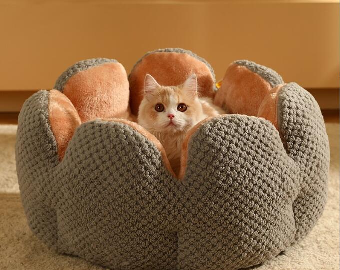Nido per Animali a Forma di Cactus: Confort e Stile per i tuoi Amici Pelosi