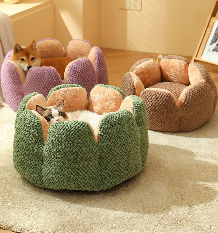 Nido per Animali a Forma di Cactus: Confort e Stile per i tuoi Amici Pelosi