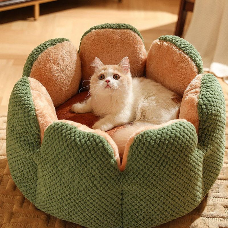 Nido per Animali a Forma di Cactus: Confort e Stile per i tuoi Amici Pelosi