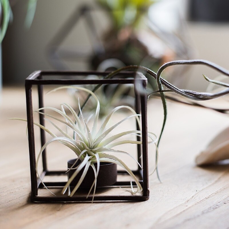 "Illumina l'Ambiente con Eleganza: Candeliere Geometrico a Cubo in Ferro Battuto!"