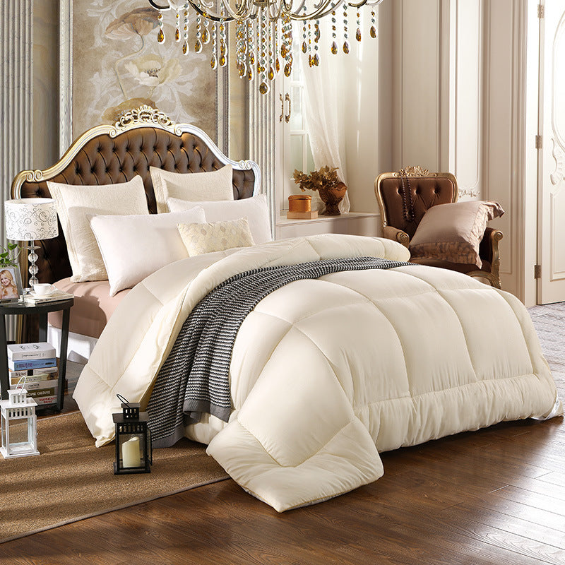 "Plaid di Lusso: Hotel Thickened Down Quilt - Il Comfort Incomparabile per un Sonno Rigenerante"